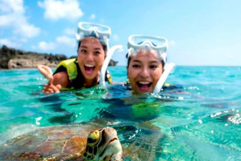 Bohol Dolphin Watching & Sea Turtle Swim Island Hopping Tour Pier – Meet-up Point