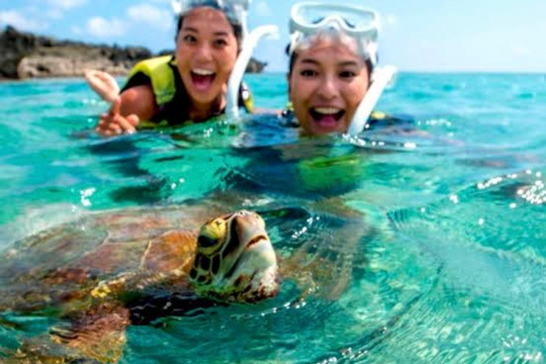Bohol Dolphin Watching & Sea Turtle Swim Island Hopping Tour Pier – Meet-up Point