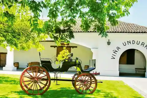 Utforsk Undurraga Winery: Tradisjon i hver slurk