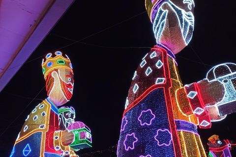 麦德林：乘坐主题车辆的圣诞灯光城市观光