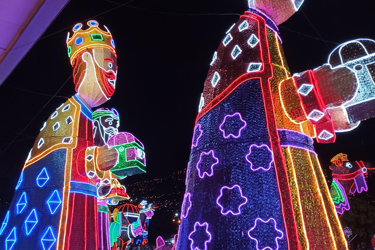 麦德林：乘坐主题车辆的圣诞灯光城市观光