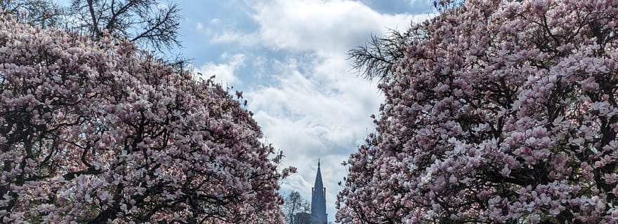 Strasbourg : visite guidée à pied à travers les guerres 1871-1945