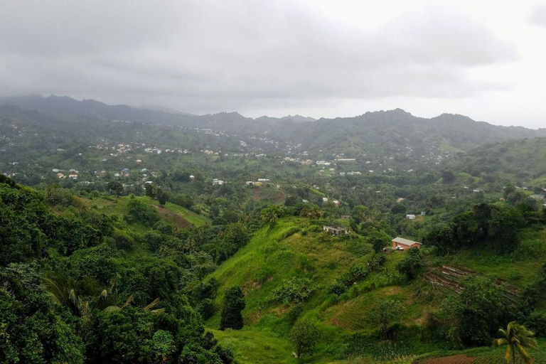 Kingstown: Dark View Falls Tour with Pickup
