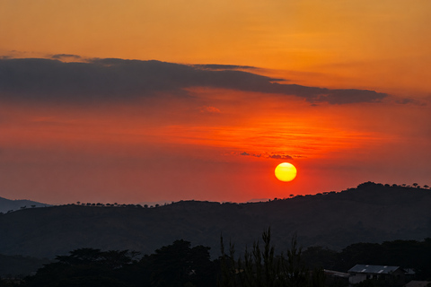 From San José: Monteverde Cloud Forest Day Trip