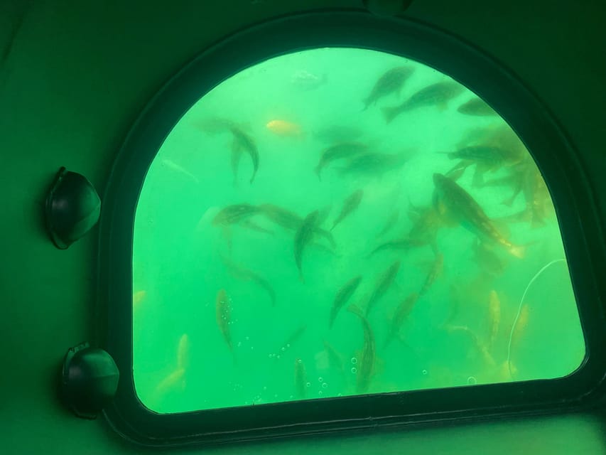 Long Beach Glass Bottom Boat Harbor Ecotour GetYourGuide