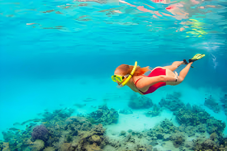 Cartagena: VIP Tour to Playa Tranquila with snorkeling + Luminous plankton