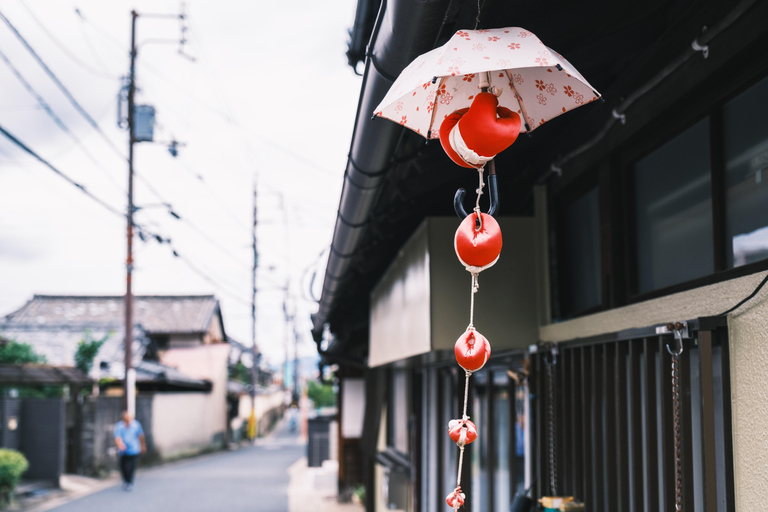 Osaka: Nara Private Day Tour