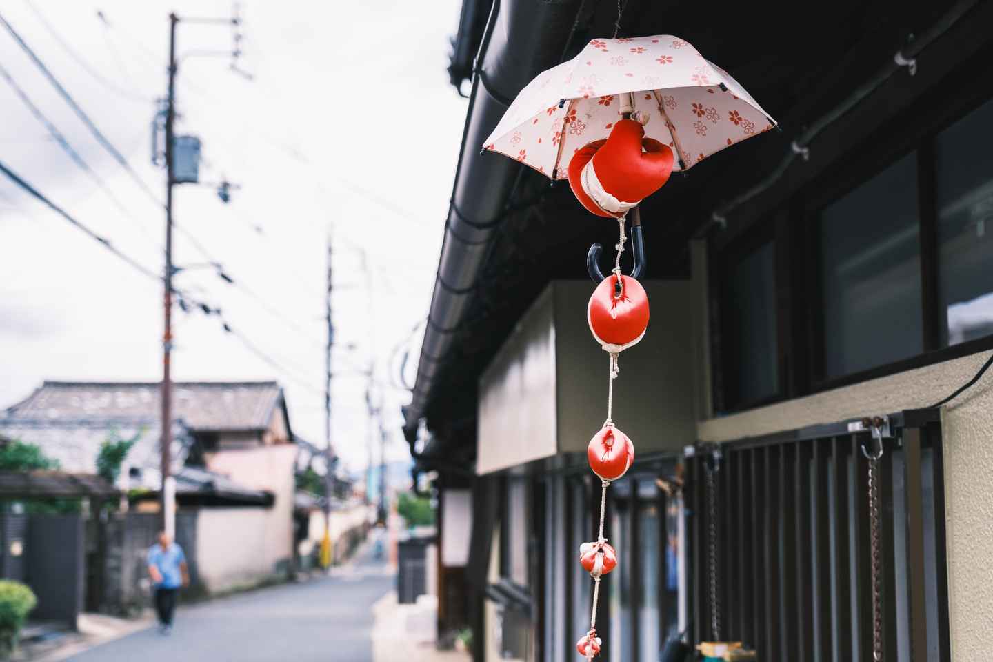 Osaka: Nara Private Day Tour - Osaka: Nara Private Day Tour