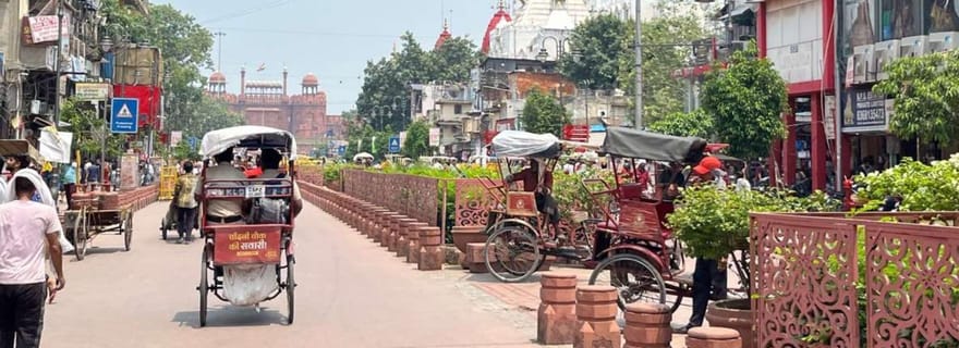 Delhi : visite de la vieille ville de Delhi en tuk-tuk et dégustation de cuisine de rue