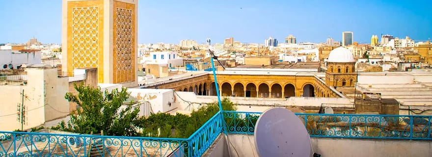 Les incontournables de Tunis : visite d'une jounée