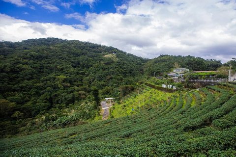 Visite privée du lac des Mille-Îles et de la ville de thé de Shiding