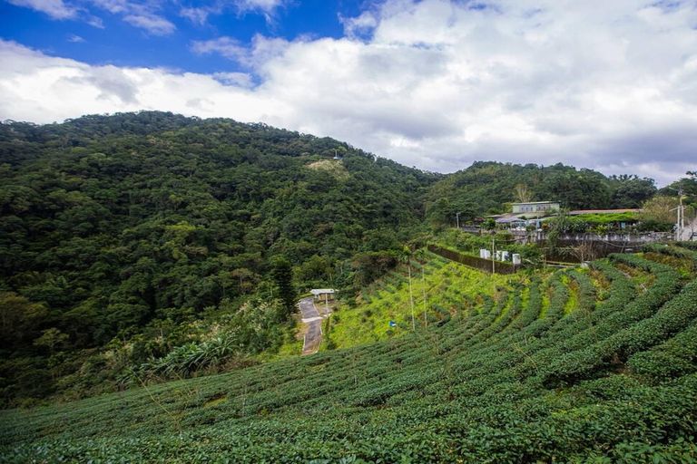 Visite privée du lac des Mille-Îles et de la ville de thé de Shiding