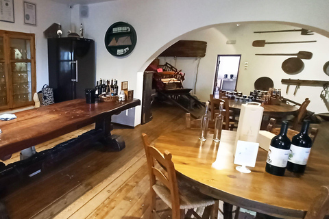 Odkryj smak Krety: wycieczka z przewodnikiem po winnicy i degustacjaOdkryj Smak Krety: Wycieczka z przewodnikiem po winiarni i degustacje