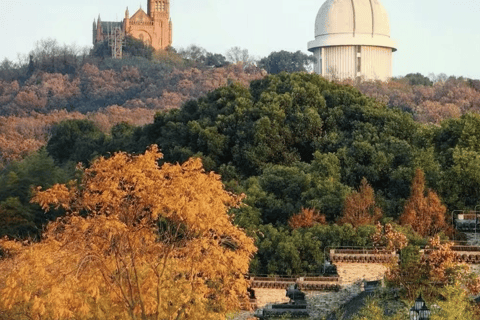 Shanghai: Sheshan Hill Private Tour with Hotel Pickup
