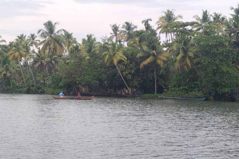 Excursion à terre ; croisière en bateau à moteur dans les eaux intérieures d'Alappuzha.
