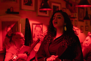 Lisbon: Alfama Tour and Live Fado with Traditional Dinner