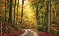 Serra Da Estrela Nature & Adventure Private Private Tour - Housity