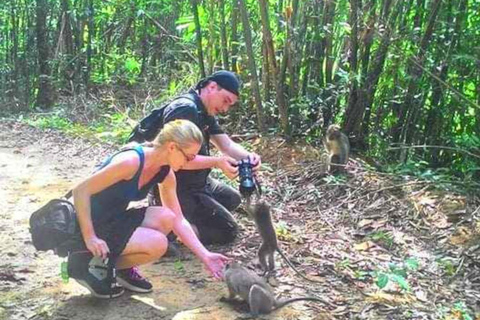 Khlong Sok: Khao Sok watervallen en wilde dieren halve dag trekPrivé Avontuur