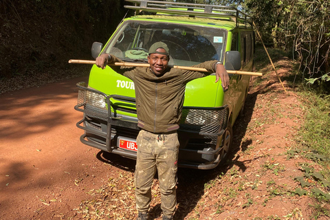 Kigali/Entebbe: 3-Day Bwindi Gorilla Trekking Tour