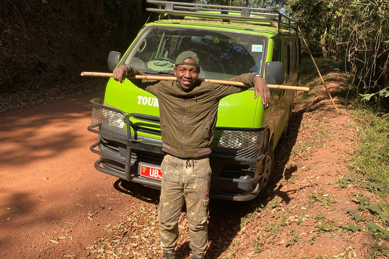 Kigali/Entebbe: 3-Day Bwindi Gorilla Trekking Tour