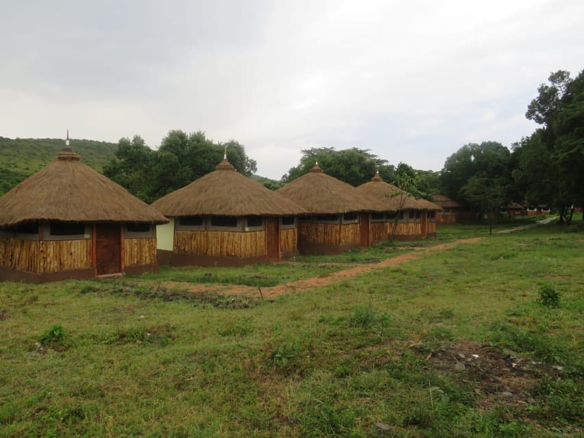 1 Tag Amboseli Tagestour Mit Masai Dorfbesuch GetYourGuide