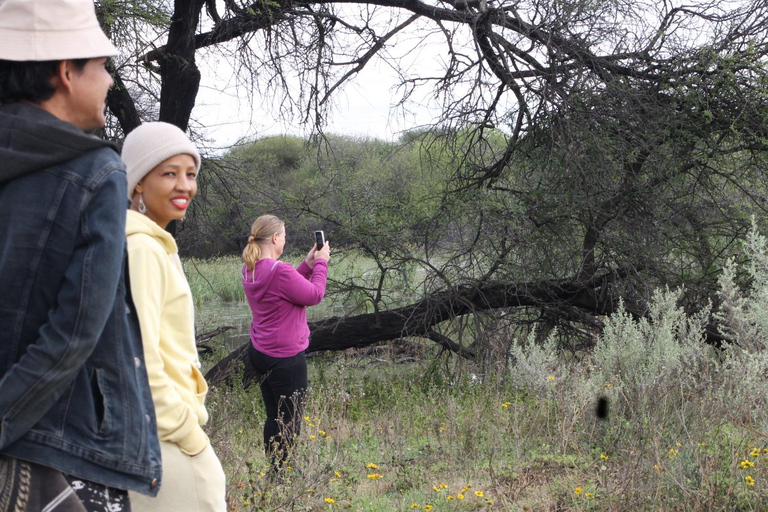 Gaborone: City Tour with Game Drive and Tswana Cuisine