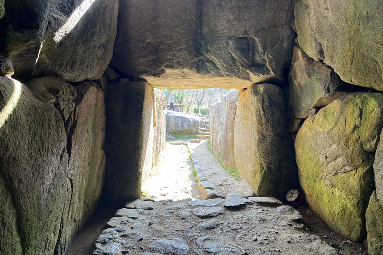 أسوكا: جولة إرشادية خاصة في عاصمة اليابان القديمةخدمة المرشدين فقط