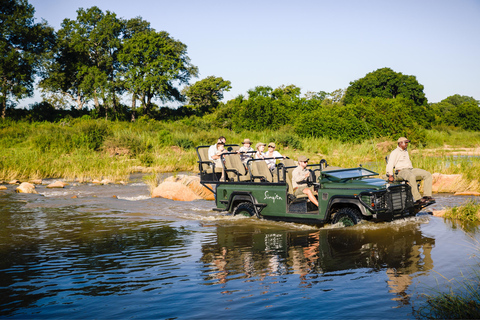 Excursão de um dia de safári em Joanesburgo - Pilanesberg Big 5 Adventure