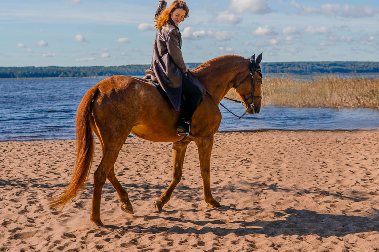 Rincón: Guided Horseback Riding Tour with Ocean Views