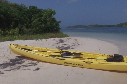 Kayak avec guide
