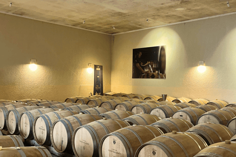 Bordeaux : Unforgettable Saint Emilion Half Day Wine Tour