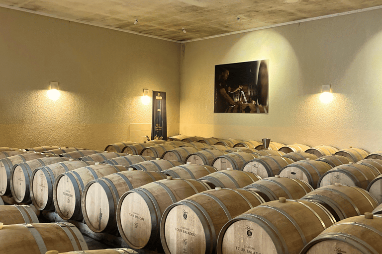 Bordeaux : Unforgettable Saint Emilion Half Day Wine Tour