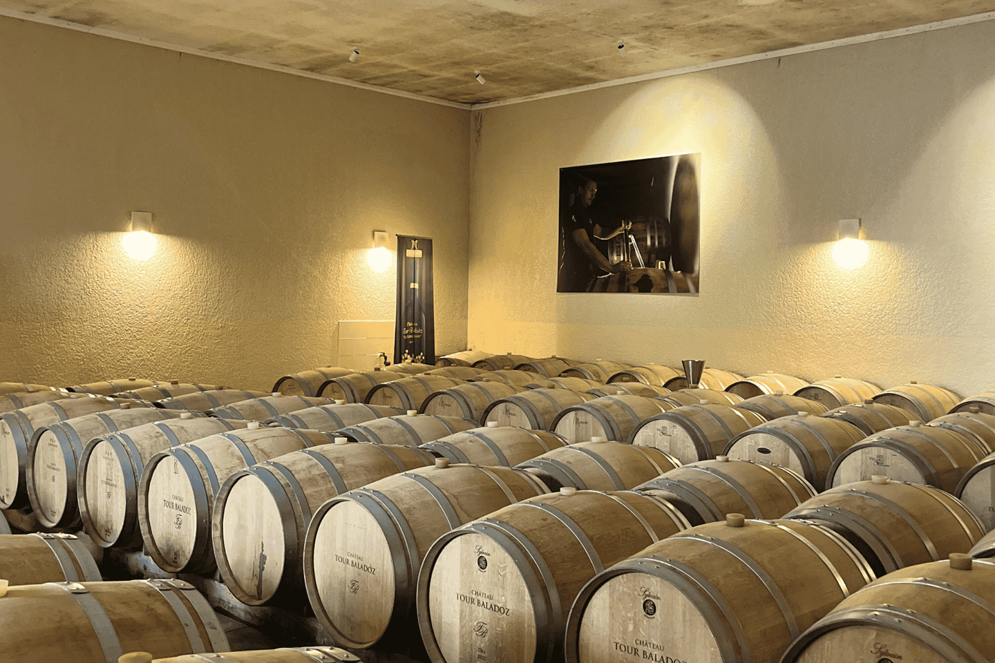 Bordeaux : Unforgettable Saint Emilion Half Day Wine Tour
