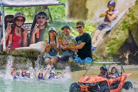 3x1: Monkeyland Damajagua Falls & Buggy Tour Puerto plata - 2026