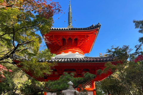 Discover Hiroshima: Private Guided City Tour by Car
