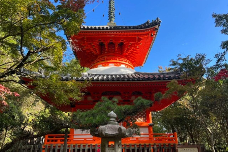 Discover Hiroshima: Private Guided City Tour by Car