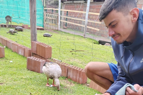 Cusco: Santuario de animales rescatados "cochahuasi"Visita privada