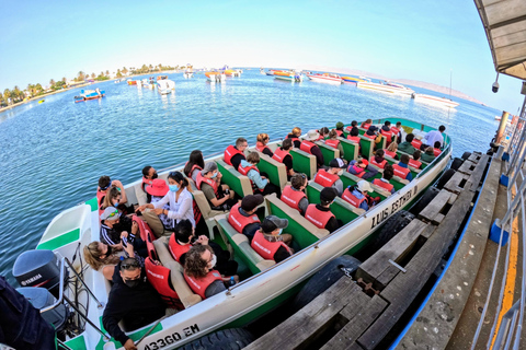 Paracas, Ballestas Islands, & Paracas National Reserve Tour from Ica