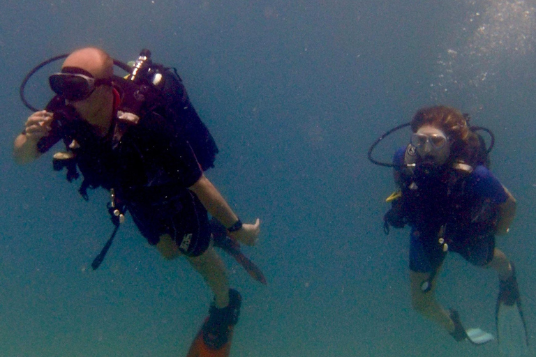 Paphos: Entdecken Sie das Tauchen mit Abholung