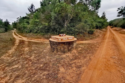 Diani: Guided day trip to Shimba Hills Reserve with lunch
