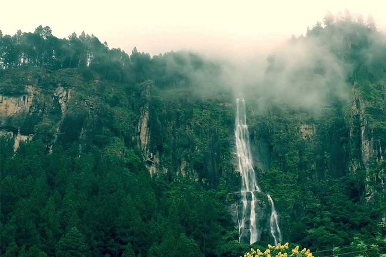 Ella :- Trasferimento privato in TukTuk alle cascate di Babarakanda