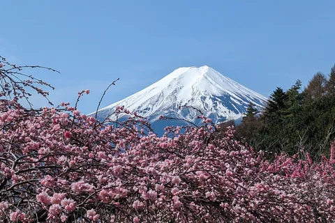 Mt. Fuji: 1-Day Private Tour from Tokyo with Certified Guide