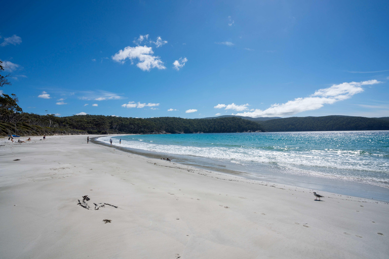 Hobart: Cape Hauy Hike an Active Adventure