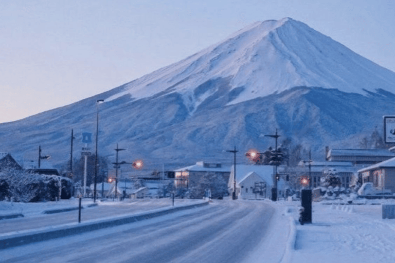 From Tokyo Mount Fuji Private Customizable Tour with Guide