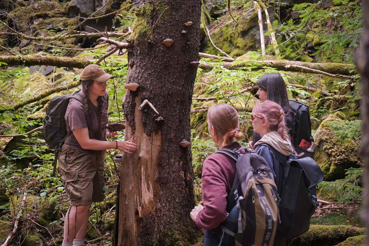Oslo: Old-Growth Forest Hike with a Biologist - Oslo: Old-Growth Forest Hike with a Biologist