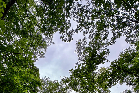 Munich: Healing Power on the Banks of the Isar - Rediscovering the Knowledge of Wild Herbs