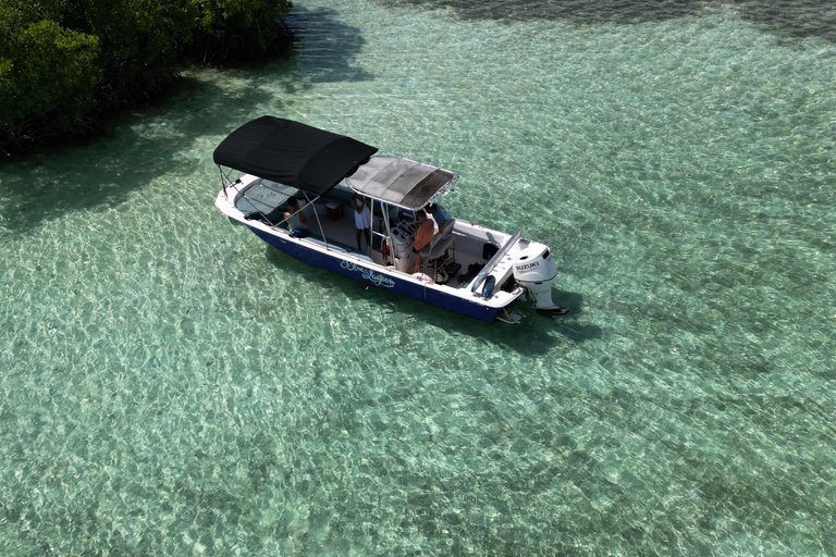 Guadeloupe: Magical half-day boat trip: mangrove, islet, snorkeling. Guadeloupe: Magical 1/2-day boat trip: mangrove, islet, snorkeling.