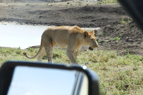 Private Nairobi National Park Drive in 4*4 landcruiser