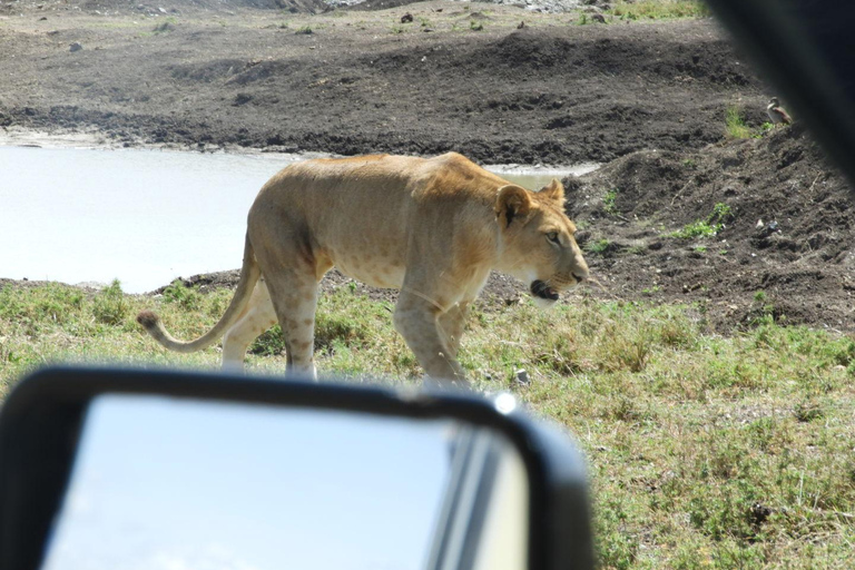 Private Nairobi National Park Drive in 4*4 landcruiser