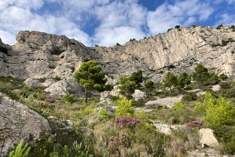Calanques Ridge Trek with Panoramic Mediterranean Views